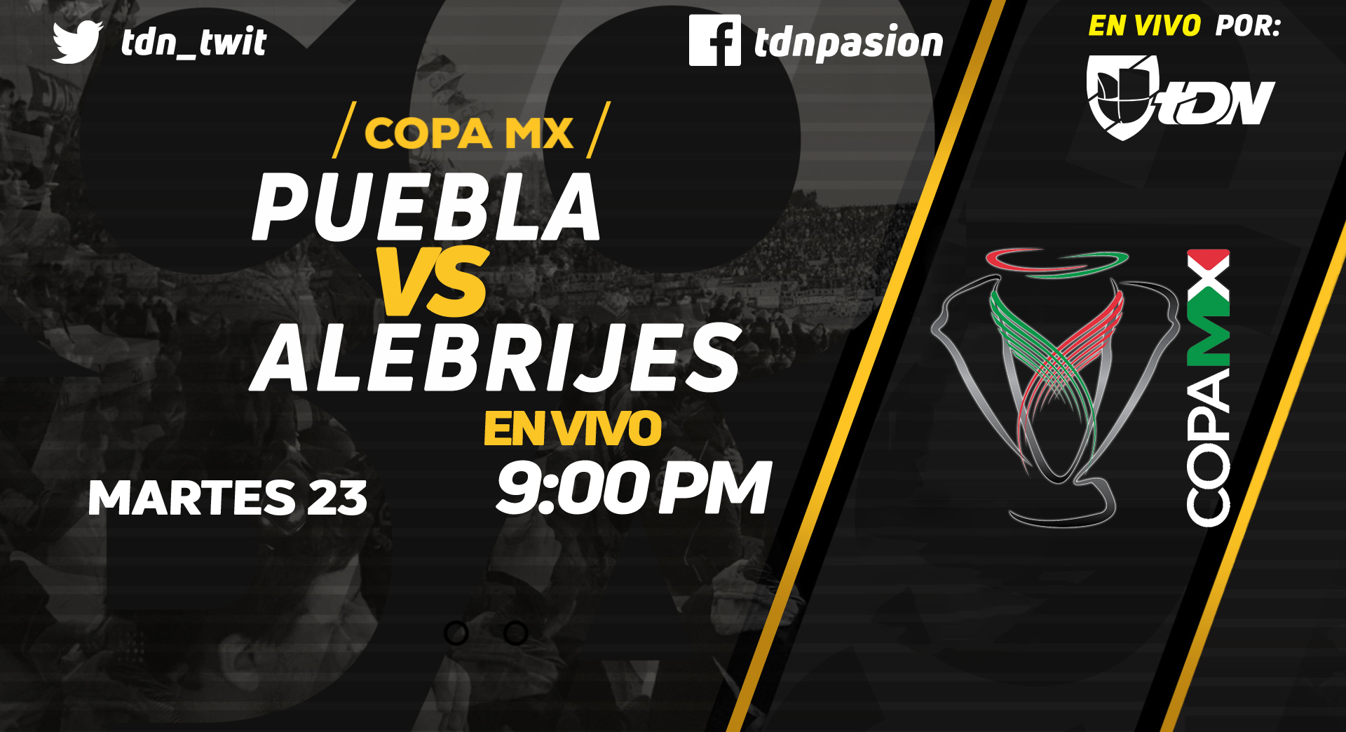 Copa MX en Vivo Puebla vs Alebrijes Copa MX 2018